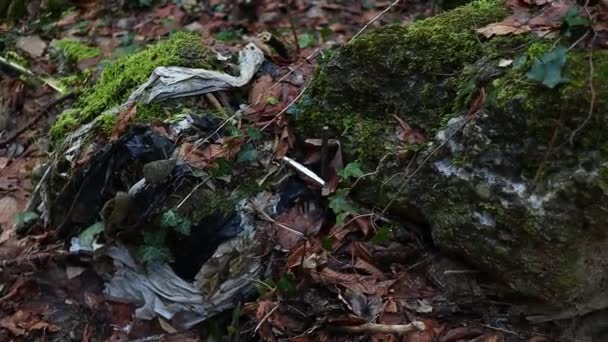 안개낀 쓰레기는 환경을 오염시키고 가까이 것이다 — 비디오