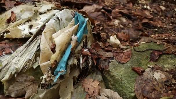 Tecidos Plásticos Velhos Entre Folhas Floresta Close Shot — Vídeo de Stock