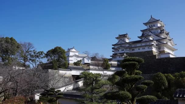Замок Хімеджі Стоїть Над Мурами Фортеці Японія — стокове відео