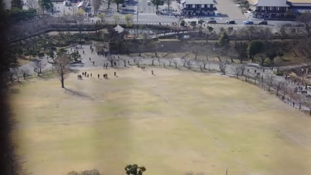 Himeji City Streets View Castle Park Hyogo Japan — стокове відео