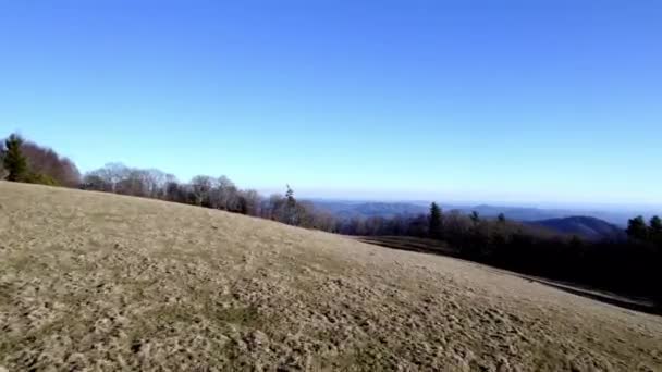 ノースカロライナ州ブロウロックNc付近の牧草地上空を飛行中 — ストック動画
