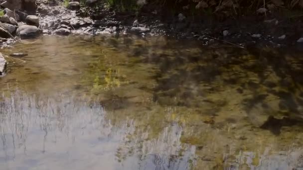 Vapor Levantando Fora Reflexão Mola Quente Grama Água Durante Dia — Vídeo de Stock