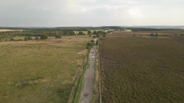 Images Aériennes Drones Train Rural Entre Deux Champs — Video