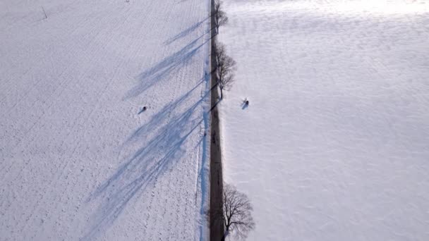 晴朗的冬天 捷克共和国空中飞行员俯瞰着被白雪环绕着的荒漠树木林立的道路 — 图库视频影像