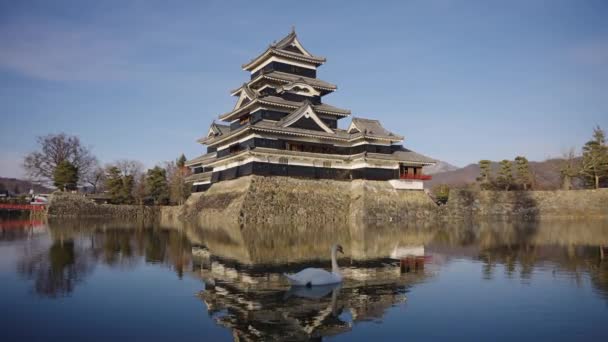 Kasteel Matsumoto Reflecteert Moat Water Als Zwaan Passeert Nagano Japan — Stockvideo