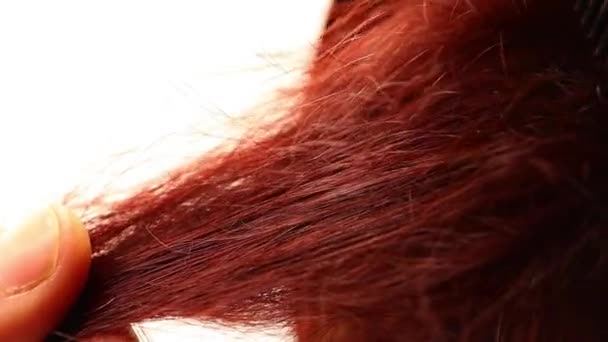 Detal Czesania Kręcone Rude Włosy Strzał Bliska — Wideo stockowe