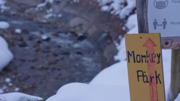 Jigokudani Valley Monkey Park Założenie Strzał Góry Japonii — Wideo stockowe