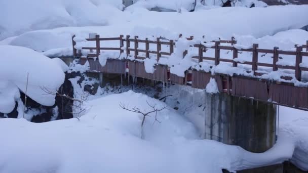 Frossen Old Rickety Bridge Bjergene Japanske Alper – Stock-video