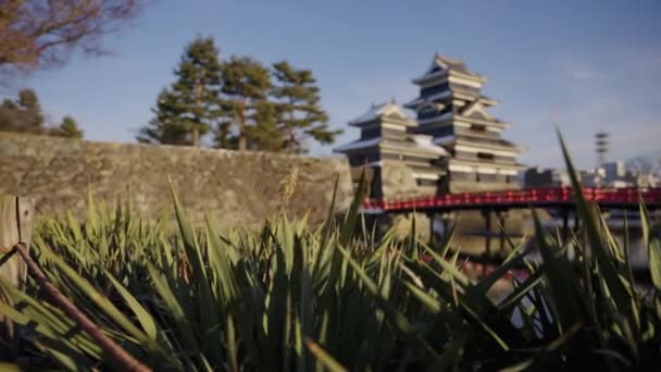 Matsumoto Hrad Brzy Ráno Historic Nagano Site Japonsko — Stock video