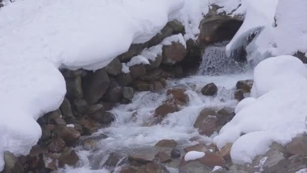 Pristine Mountain Stream Che Scorre Attraverso Scioglimento Del Ghiaccio Nagano — Video Stock