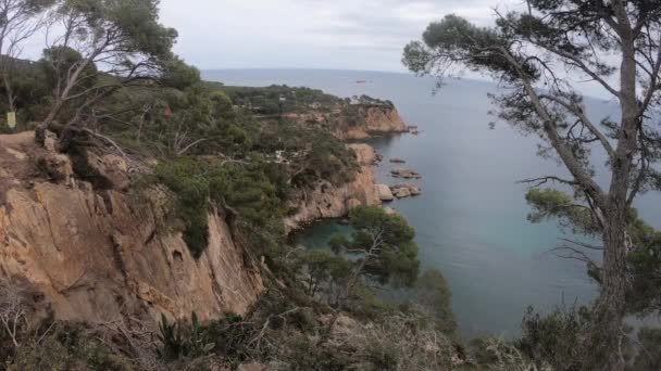 Wild Landscape Coast Palamos — Stock Video