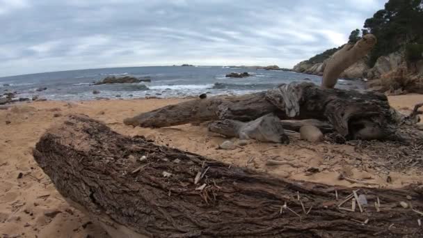 Wild Landscape Spain Coast Costa Brava — Stock Video