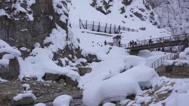 Karla Kaplı Jigokudani Parkı Japonya Kış Atışı Kuruluşu — Stok video