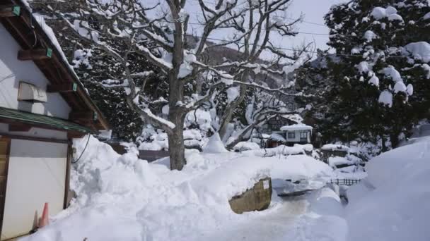 Hell Valley Που Καλύπτεται Από Χιόνι Nagano Yamanouchi Πόλη Ιαπωνία — Αρχείο Βίντεο