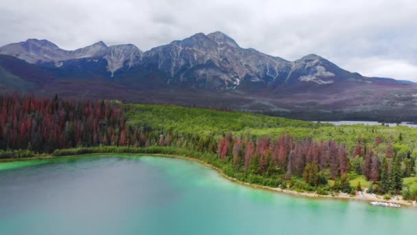 Lago Maligne Montanhas Fundo Drone Aéreo Voar Volta Vista Parque — Vídeo de Stock