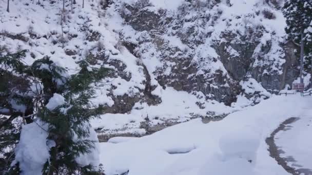 Valle Jigokudani Yamanouchi Japón Nieve Hielo Cubriendo Ladera Montaña — Vídeos de Stock