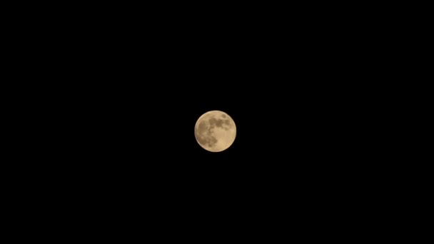 Gran Superluna Rara Cielo Sobre Fondo Negro Luna Que Sube — Vídeo de stock