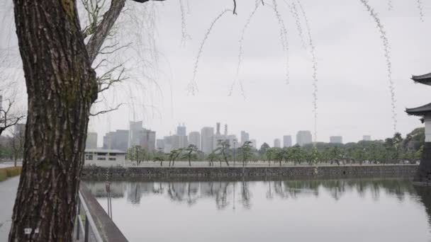 Tokyo Imperial Gardens Város Háttérben Békés Reggeli Jelenet Japán — Stock videók