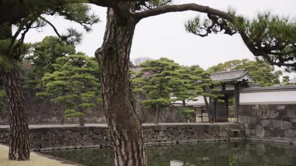 Tokyo Mparatorluk Bahçeleri Huzurlu Hendek Üzerine Sabah — Stok video
