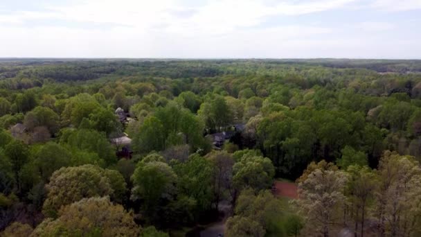 Inclinação Aérea Das Árvores Para Céu Perto Winston Salem Carolina — Vídeo de Stock