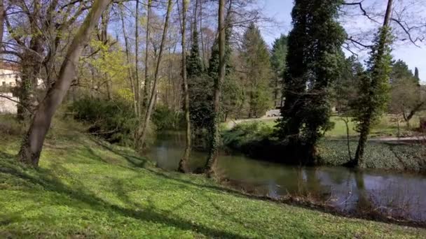 Flussbett Mit Einem Fließenden Fluss Zwischen Bäumen Einem Park Der — Stockvideo