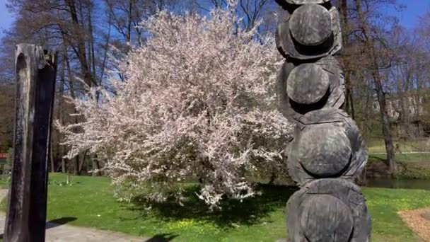 Botanischer Garten Der Stadt Olomouc Mit Blühenden Bäumen Und Holzstatuen — Stockvideo
