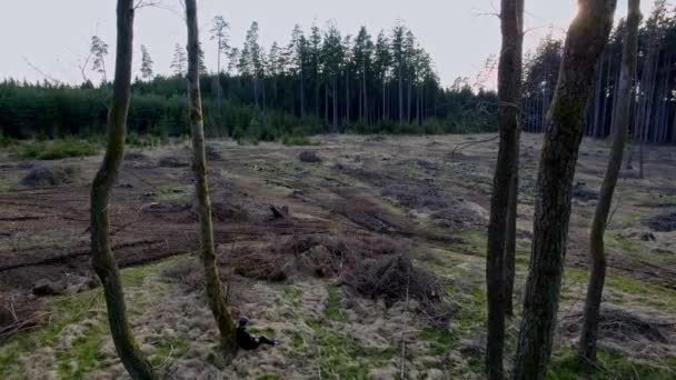 Вид Воздуха Зеленые Деревья Сожженные Поля После Пожара Земля Покрыта — стоковое видео