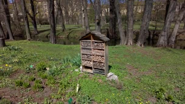 訪問者の教育と昆虫の持続可能性のためのオロモウツ市の植物園内の昆虫ホテル — ストック動画