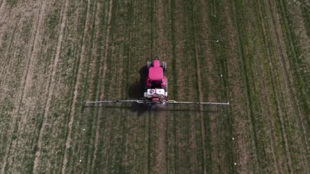 Vista Aérea Del Tractor Cultivo Rojo Pulverización Campo Cultivado Con — Vídeos de Stock