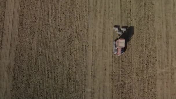 Вид Воздуха Красный Гусеничный Трактор Тянет Систему Прокатки Подготовки Почвы — стоковое видео