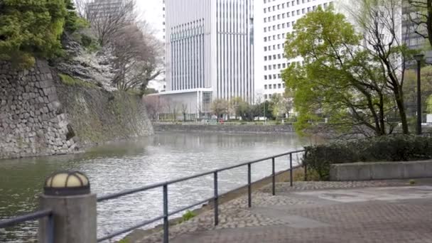 Walk Tokyo Imperial Gardens Moat Exterior Urban Ginza — Stock Video