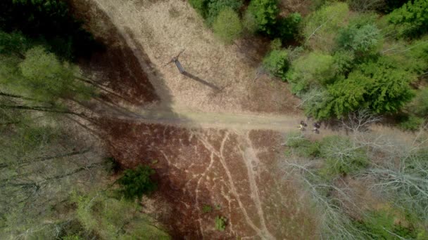 Grupo Amigos Passeia Por Caminho Natural Através Uma Floresta Lugar — Vídeo de Stock