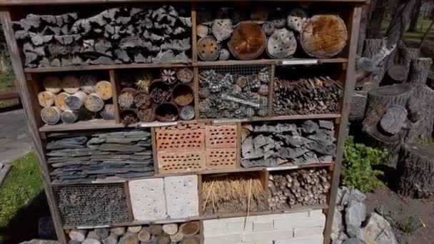 Ekologiczny Bug Hotel Drewnianymi Otworami Owadów Ołomunieckim Miejskim Ogrodzie Botanicznym — Wideo stockowe