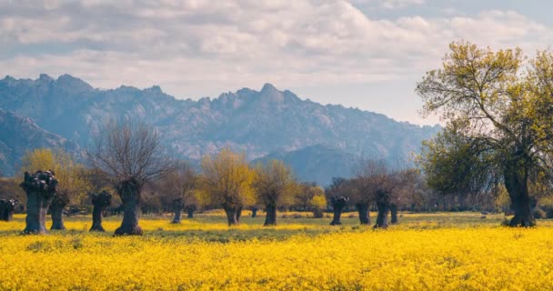 Пік Pedriza Yelmo Мадридському Національному Парку Сьєрра Красивими Зеленими Жовтими — стокове відео