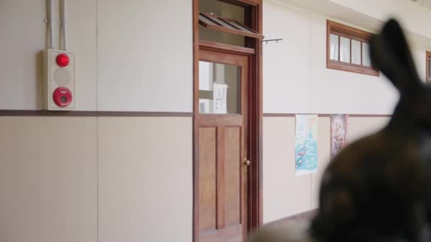 Estátua Tartaruga Lebre Nos Corredores Escola Primária Toyosato — Vídeo de Stock