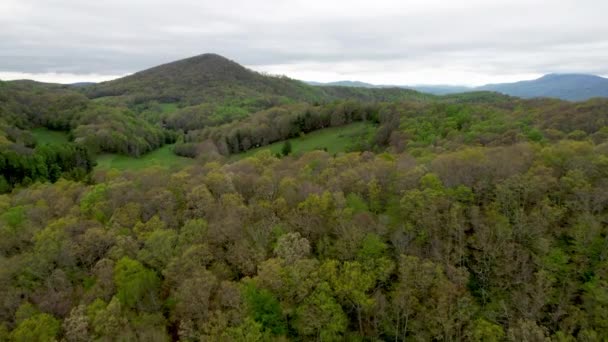 Montañas Apalaches Primavera Cerca Matney Cerca Boone Blowing Rock North — Vídeos de Stock