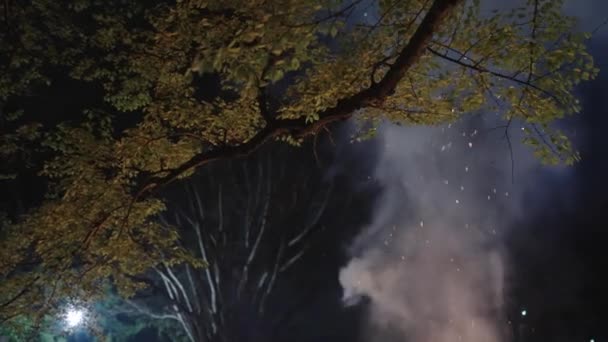 일본의 하치만 마츠리에 나무를 타오르는 연기와 — 비디오