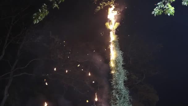 Flammande Aska Fyller Himlen Natten Hachiman Festival Shiga Japan — Stockvideo
