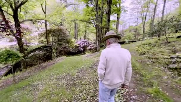 Old Man Walks Woods Garden — Stock Video