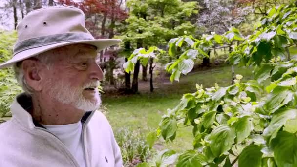 Uśmiechnięty Starszy Obywatel Ogrodnik Patrzy Drzewo Kousa Dogwood — Wideo stockowe