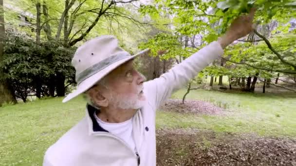 Hombre Viejo Jardinero Inspecciona Árbol Cornejo — Vídeo de stock