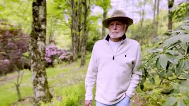 Vieil Homme Avec Chapeau Descend Sentier Boisé Dans Jardin — Video