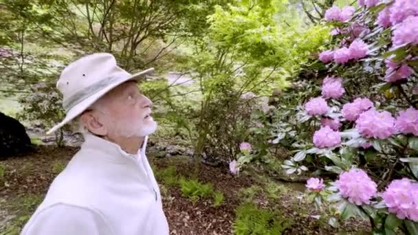 老人は庭の花を見て — ストック動画