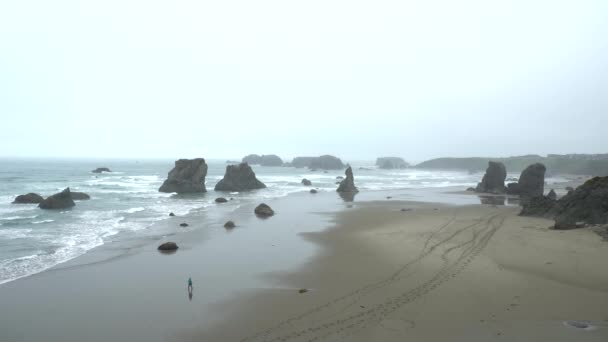 Osoba Spacerująca Plaży Oregonie Deszczowy Dzień — Wideo stockowe