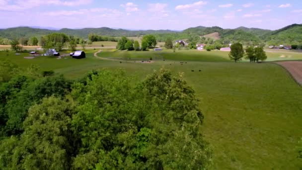 Şam Abingdon Virginia Yakınlarındaki Çiftlikten Havadan Çekilme — Stok video