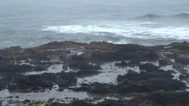 Pemandangan Pantai Oregon Pada Hari Berawan — Stok Video