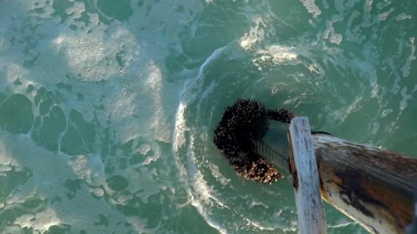 Повільне Зображення Океанічних Хвиль Потрапляють Стовп Пірсу — стокове відео
