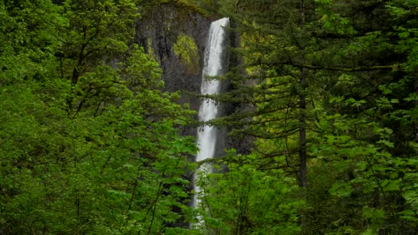 Latourell Fällt Der Columbia River Gorge Oregon — Stockvideo