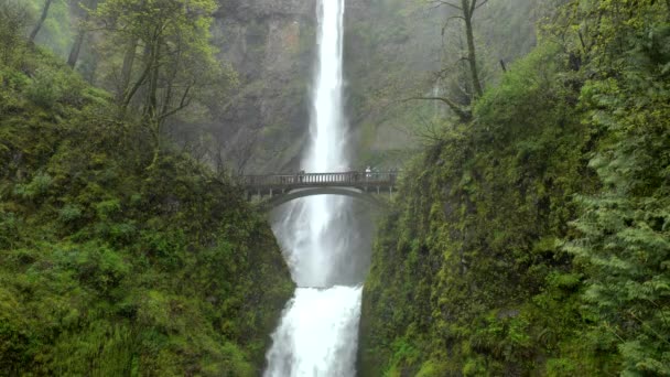 Multnomah Fällt Der Columbia River Schlucht Oregon — Stockvideo