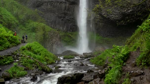 Latourell Falls Desfiladeiro Rio Columbia Oregon — Vídeo de Stock